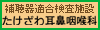 バナーA-Type 30ｘ100ピクセル