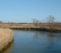 水門から見た釣り場です。 もう、うっすらと氷が張り始めていました。